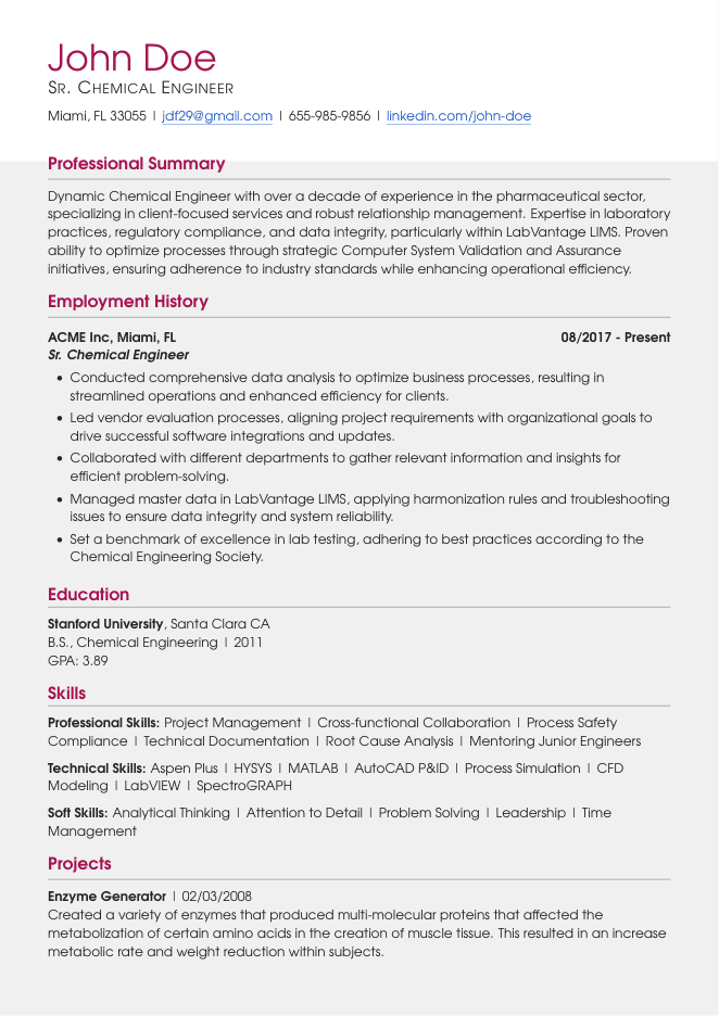 Experienced Professional template preview